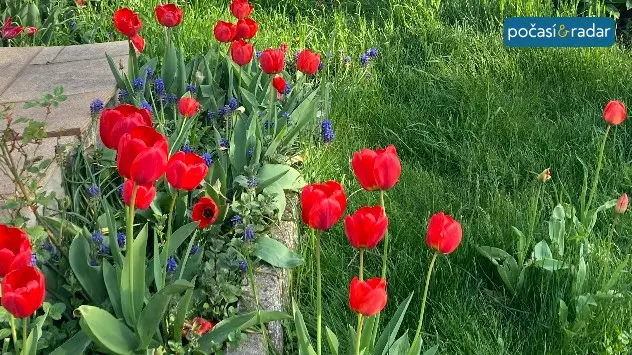 april_garden_cz