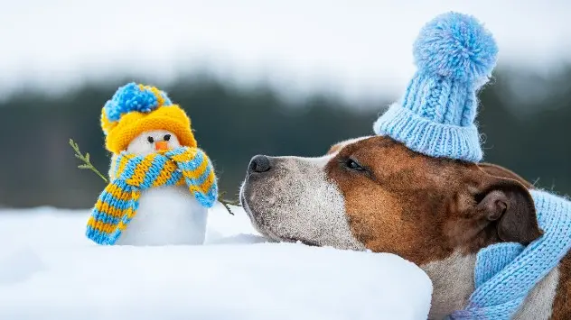 1 decembrie: începe iarna meteorologică