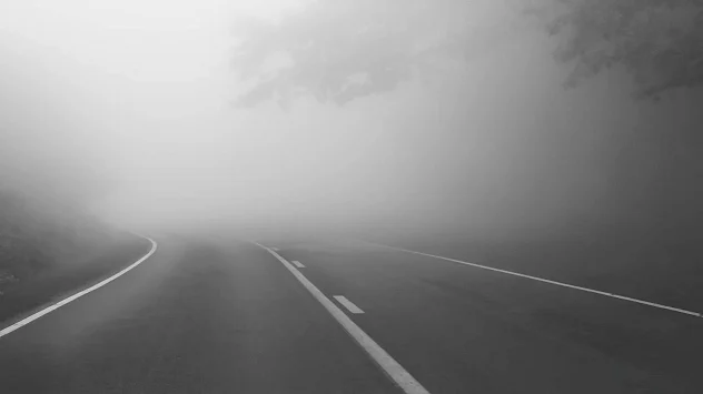 La niebla en la carretera reduce la visibilidad.
