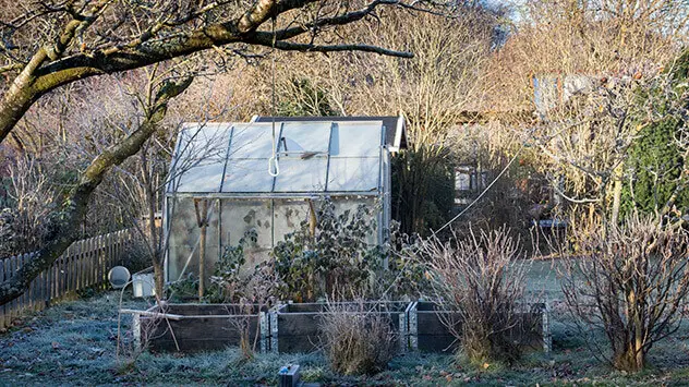 Unordentlicher Garten im Winter bei Frost