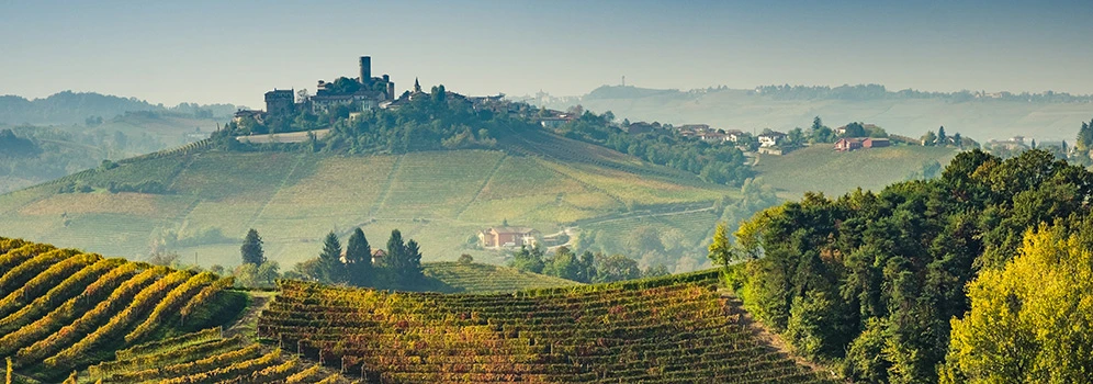 Blick auf die Weinberge im Piemont