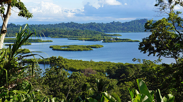 Grüne Landschaft mit Inseln und Wasser in der Provinz Bocas del Toro