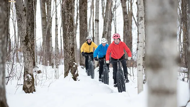 Eine Gruppe von drei Radfahrern fährt durch einen verschneiten Wald. 