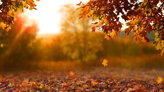 Zašto lišće mijenja boju i opada