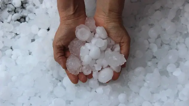 Hand lifts hailstones from ground