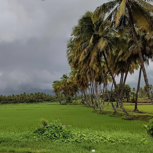 2-20220713-baiju-bhaskar-kollengode-palakkad-keralajpeg