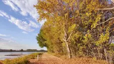 Herbst in Sommer: Bereits im August sind die Pegel der Flüsse niedrig und viele Laubbäume verlieren ihre Blätter aufgrund der Trockenheit. 