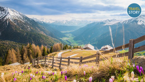 Krokusblüte im Gsiesertal (c) TV Gsiesertal / Kamilla Photography