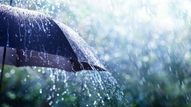 Umbrella in shop the rain