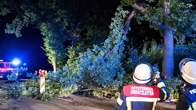 © dpa Baum liegt nach Gewitter auf der Straße