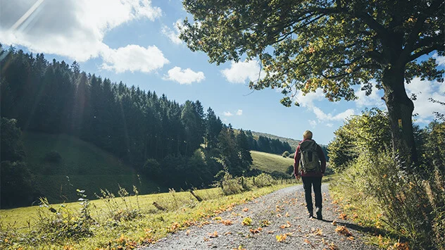 Wanderer im Naturpark Solling-Vogler