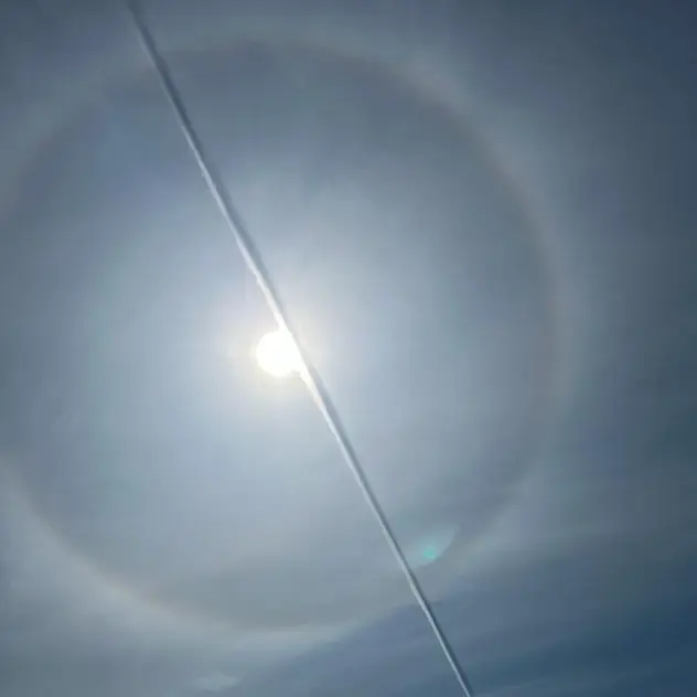 Solar halo and contrails