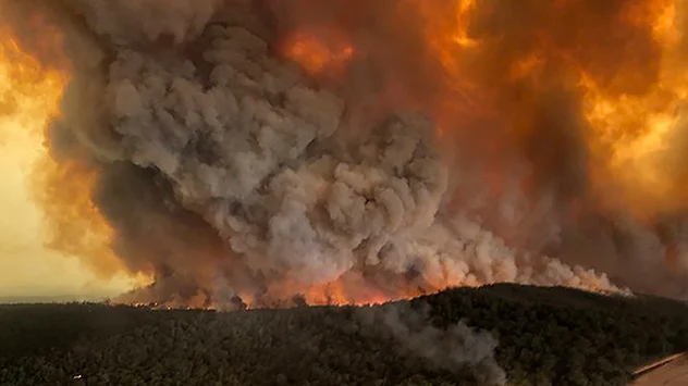 Waldbrände in Australien im Jahr 2019