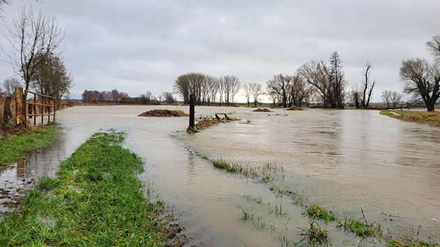 Die Schunter in Wolfsburg erreicht bereits Hochwassermeldestufe 3.