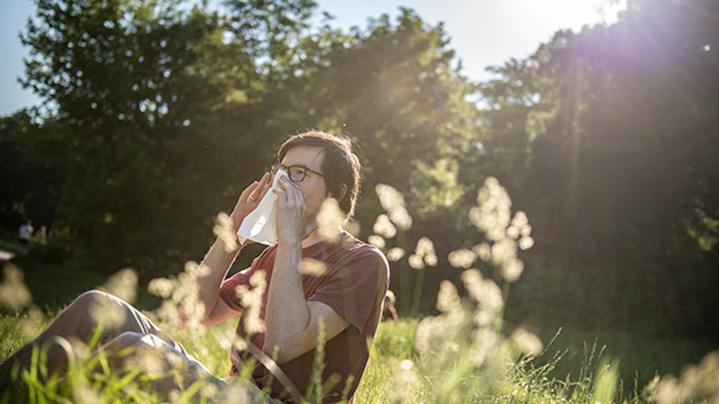 Pollen Season Approaches Cities Make Hay Fever Symptoms Worse Weather News 4302