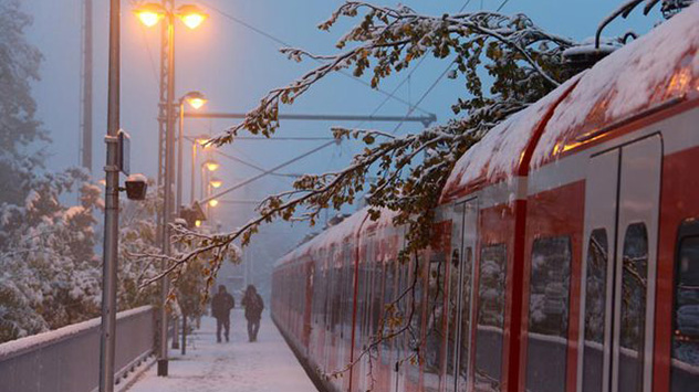 Viele noch belaubte Bäume halten der enormen Last des nassen Schnees nicht stand und stürzen um. Auch mehrere Bahnstrecken müssen gesperrt werden. 