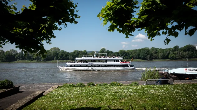 Die Ausflugsschiffe auf dem Rhein sind gut ausgelastet. 