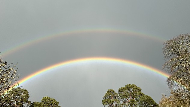 Double rainbow overhead in front of grey skies