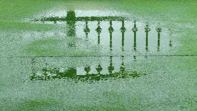Puddle on artificial lawn