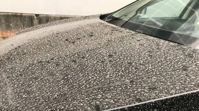 bil dækket af blodregn