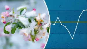 Schnee auf Blüte - Diagramm Regenmittel im April (c) Torsten Brehme