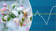 Schnee auf Blüte - Diagramm Regenmittel im April