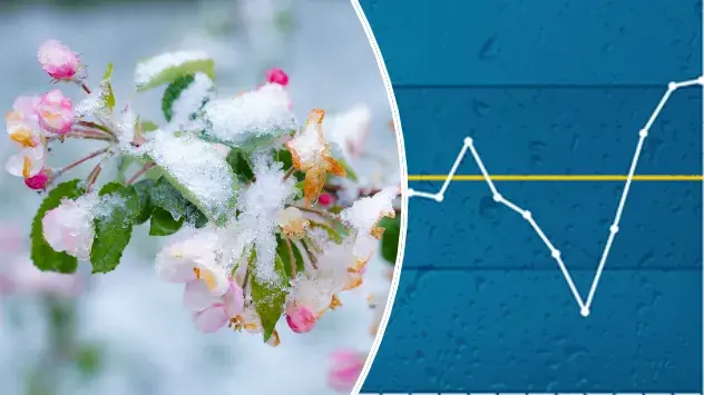 Schnee auf Blüte - Diagramm Regenmittel im April