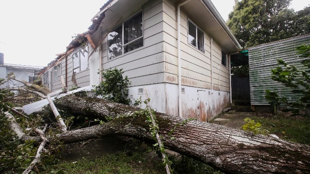 In Auckland in Neuseeland stürzt während des Zyklons GABRIELLE ein Baum auf ein Haus.