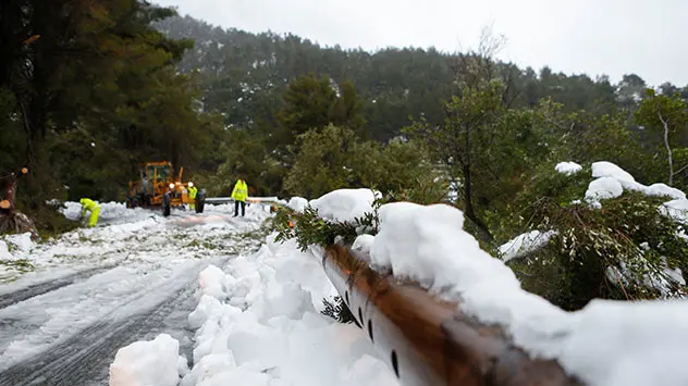Strasse aus Mallorca wegen Schnee und abgerissenen Ästen gesperrt
