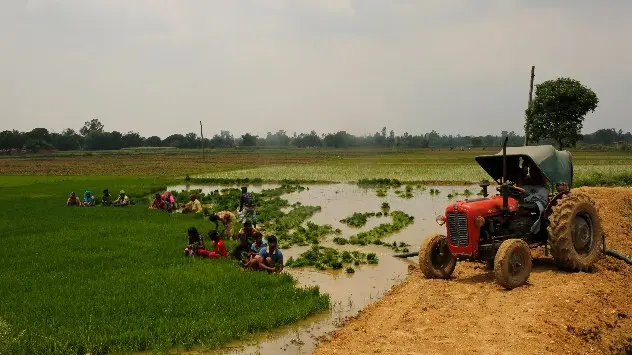 farmer waiting for rain