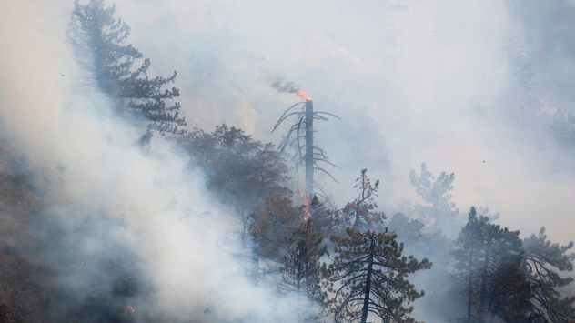 wildfire smoke