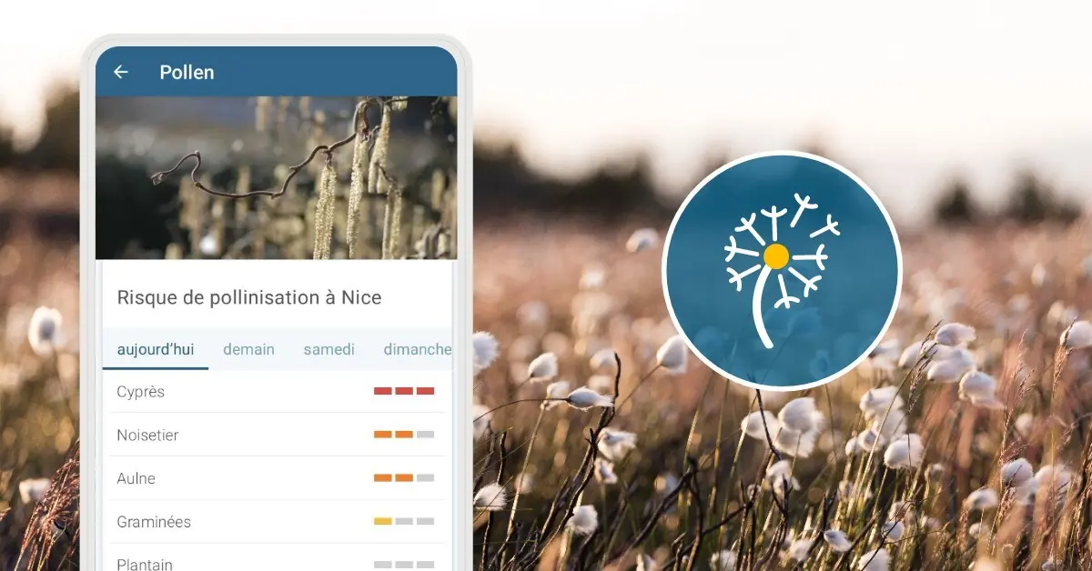 Le suivi des risques du pollen est accessible sur notre application