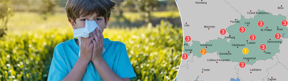 Junge schnieft in ein Taschentuch draußen auf einer Wiese - Pollenvorhersage für heute