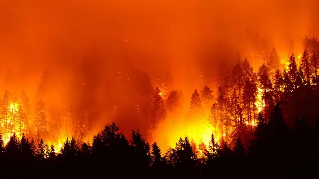 Toplina ne pali šumske požare