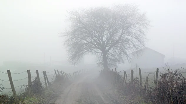 fog-shutterstock