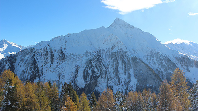 Im Gebirge sind die Lärchen meist noch gold-gelb, wie hier in den Zillertaler Alpen in Österreich.