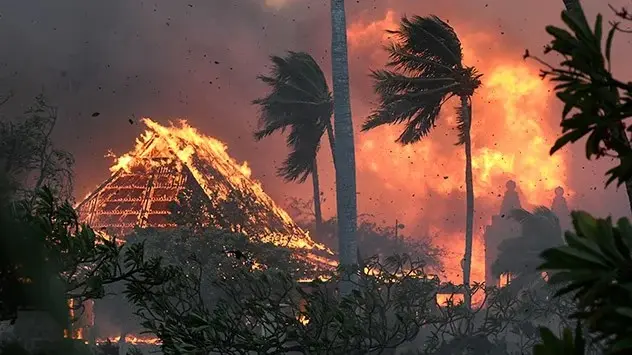 Incendii de pădure violente distrug sate întregi pe insula Maui din Hawaii.