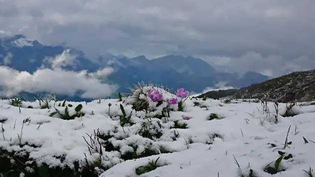 schafskälte schnee alpen