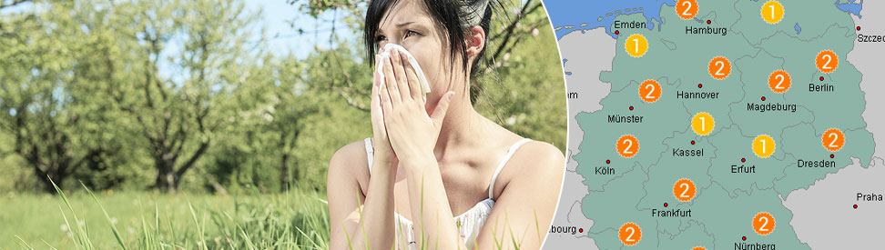 Frau reagiert auf Gräserpollen mit Niesen - Taschentuch (links), Pollenflugvorhersage (rechts) 