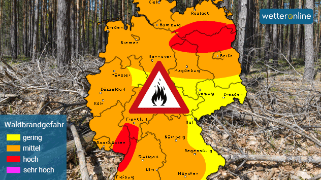 Die Waldbrandgefahr nimmt mit den Regenwolken in der östlichen Landesmitte ab. In den weiter trockenen Regionen bleibt sie allerdings hoch. 