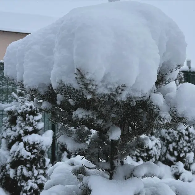 Zăpadă mare și în Vidra, județul Ilfov, pe 20 ianuarie