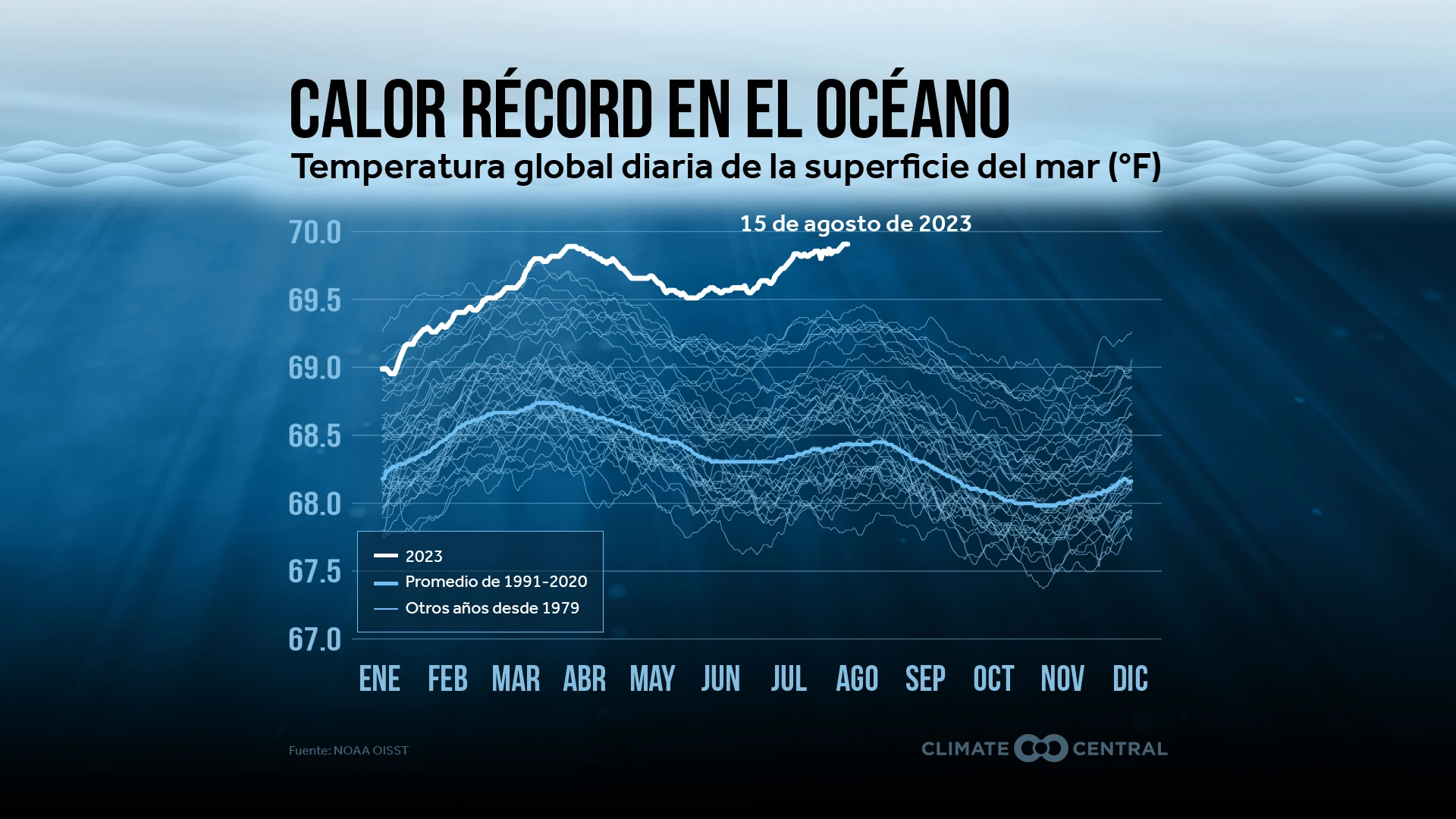 Calor récord en el océano trae grandes impactos a todo el mundo. 