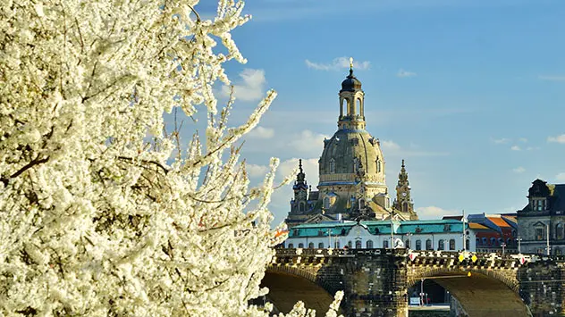 Dresden im Frühlig