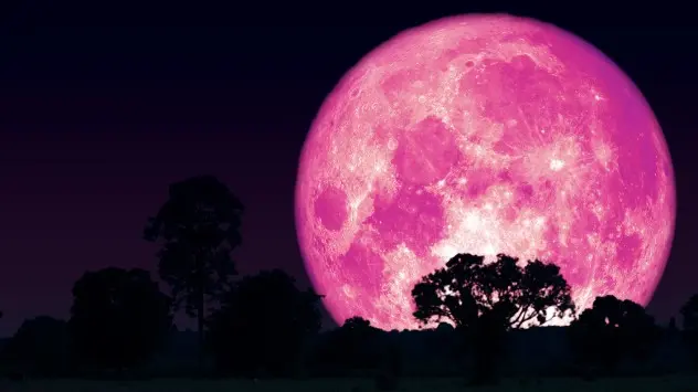 La Luna Rosa se podrá observar mundialmente. 
