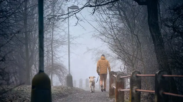 Mann mit Hund im Nebel