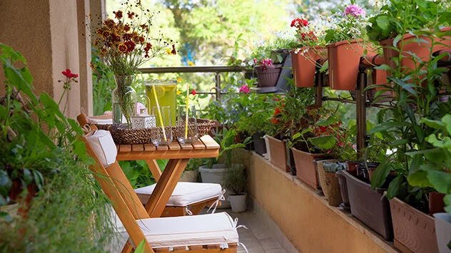 Mit Pflanzen zugestellter Balkon