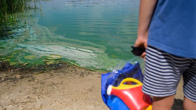 Kind steht mit seinem Spielzeug an einem See mit Blaualgenblüte