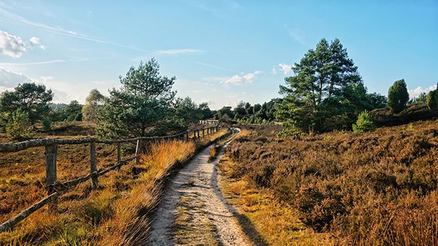 Wanderweg in der Lüneburger Heide im Herbst