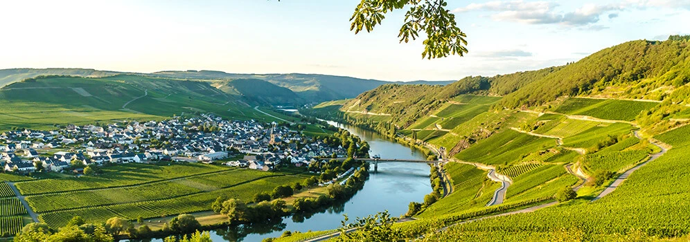 Sonniger Tag an der Mosel