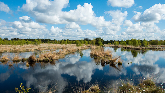 Blick über die Moorlandschaft in Niedersachsen